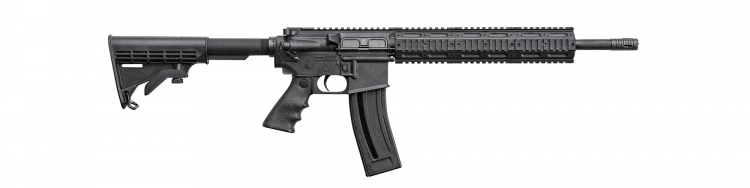 Chiappa Firearms "International Media Days" Chiappa Firearms MFour-22 Gen II Pro