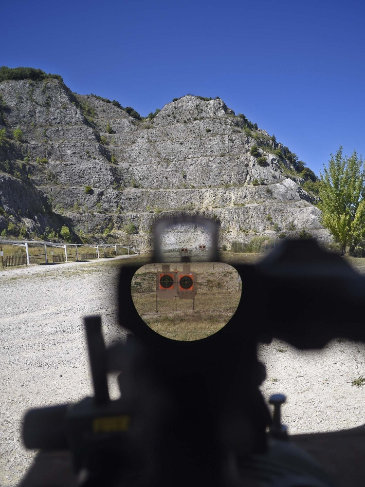 Above, what you see through the LCO  sight; at bottom, what you see thorugh D-EVO