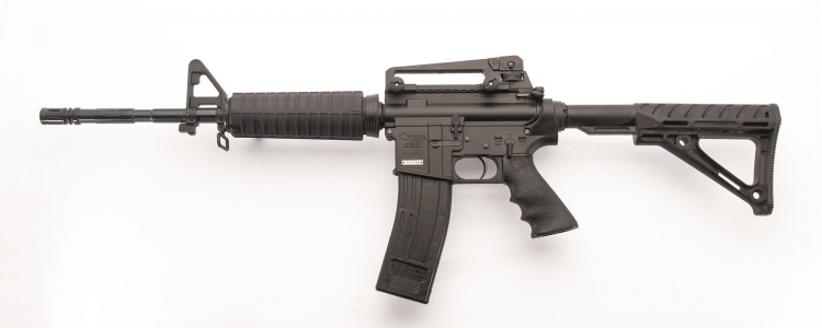 Chiappa MFour-22