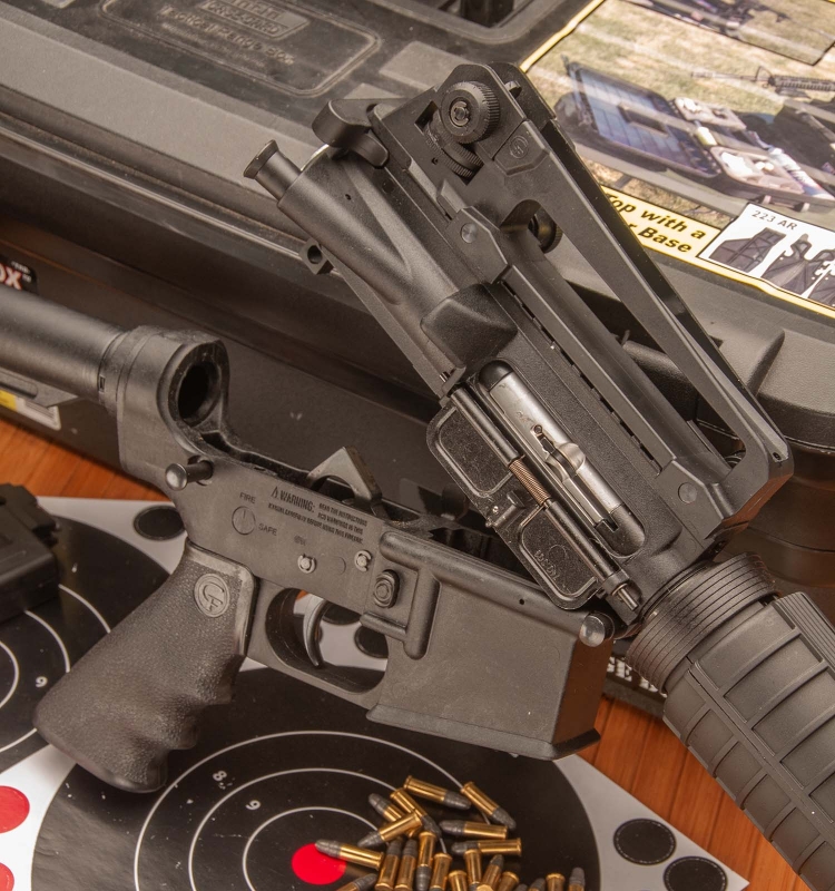 Calibro .22 LR: carabine Chiappa M1-22 e Mfour-22