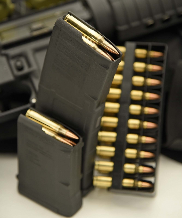 The Colt Expanse M4 uses standard STANAG magazines, from the shots up 