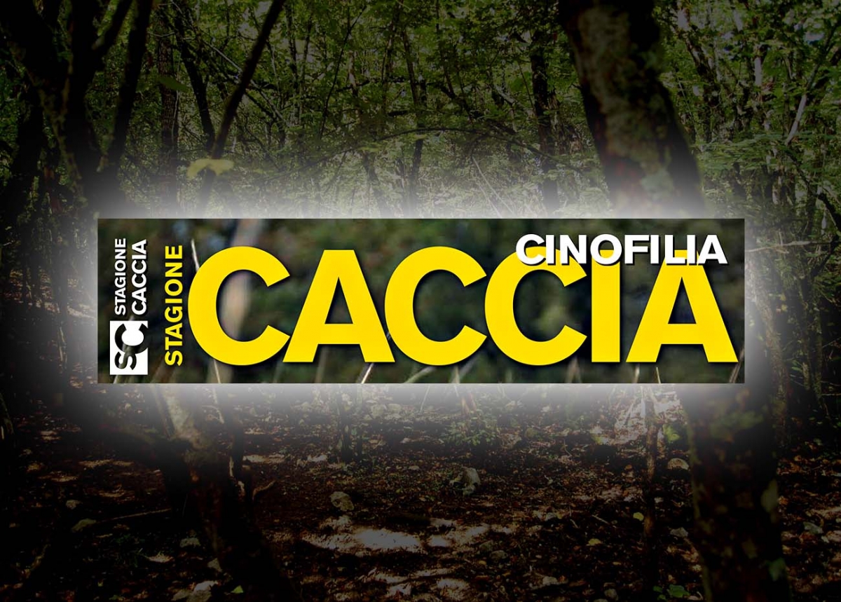 Stagione Caccia - Cinofilia: è in edicola il numero di maggio 2017