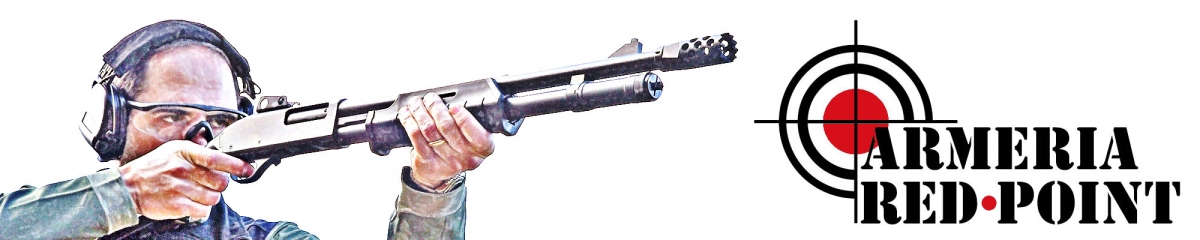 VIDEO: SIG 550 Sniper
