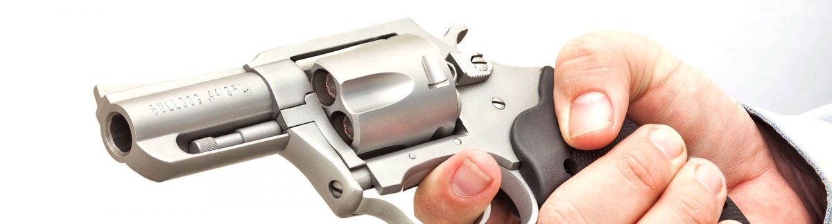 CHARTER ARMS: armerie dove acquistare