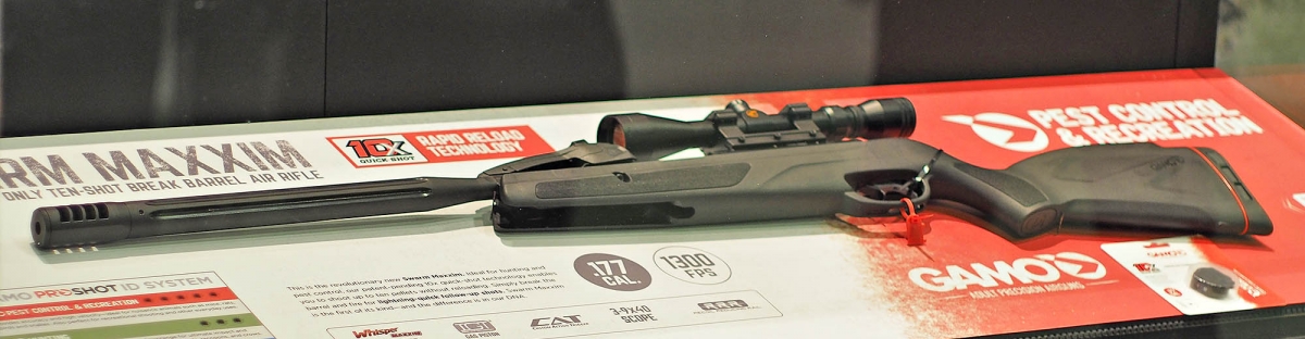 GAMO Swarm Maxxim multi-shot air rifle