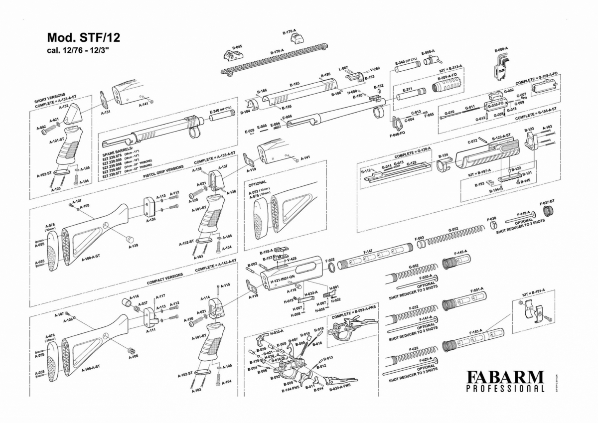 Fabarm STF/12: the all-Italian modular Combat Shotgun