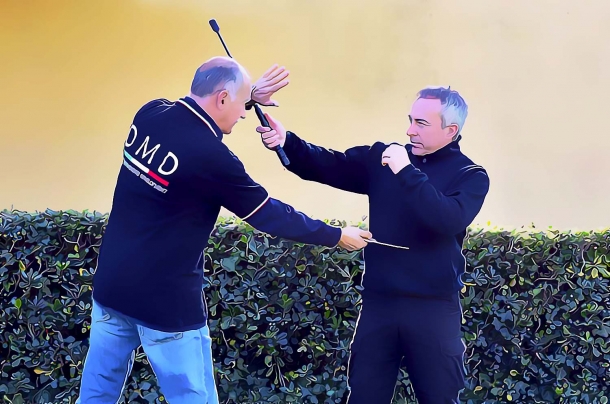Difesa personale: bastoni e loro uso Difesa personale: bastoni e loro uso