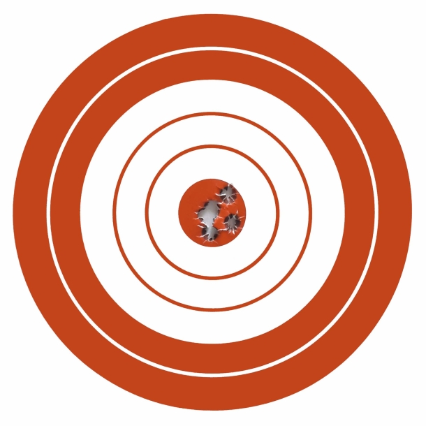 Why use Fiocchi Exacta .308 Winchester 175 grains? Fiocchi Exacta 308 Win 175 gr - Sabatti TLD 200m