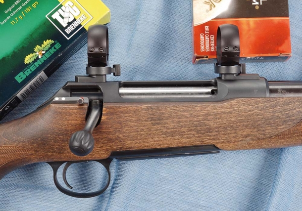 Sauer 100