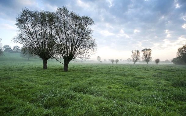 Fields of Battle Lands of Peace 1914-1918 .