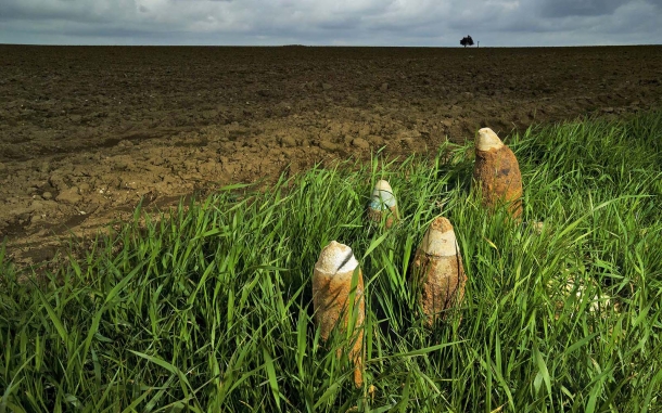 Fields of Battle Lands of Peace 1914-1918 .