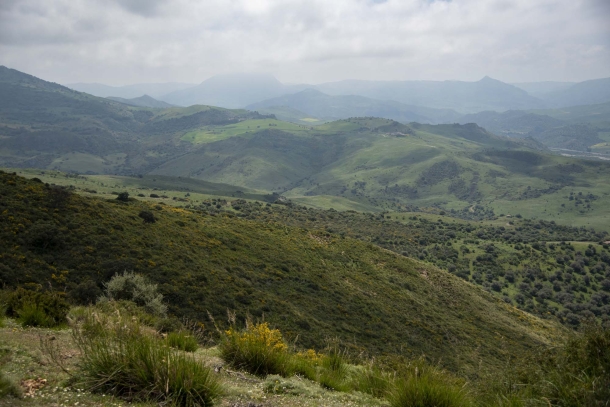 Benvenuti al Sud: in Sicilia per un corso di tiro di precisione con carabina Benvenuti al Sud: in Sicilia per un corso di tiro di precisione con carabina