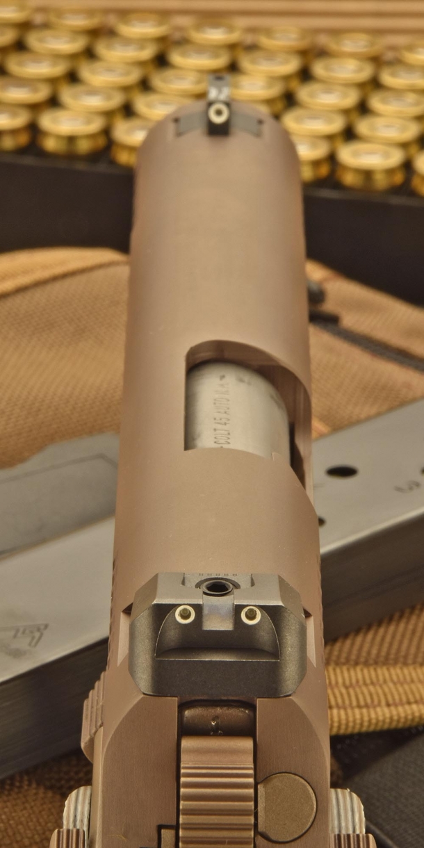 The sample of this pictures mounts Trijicon night sights