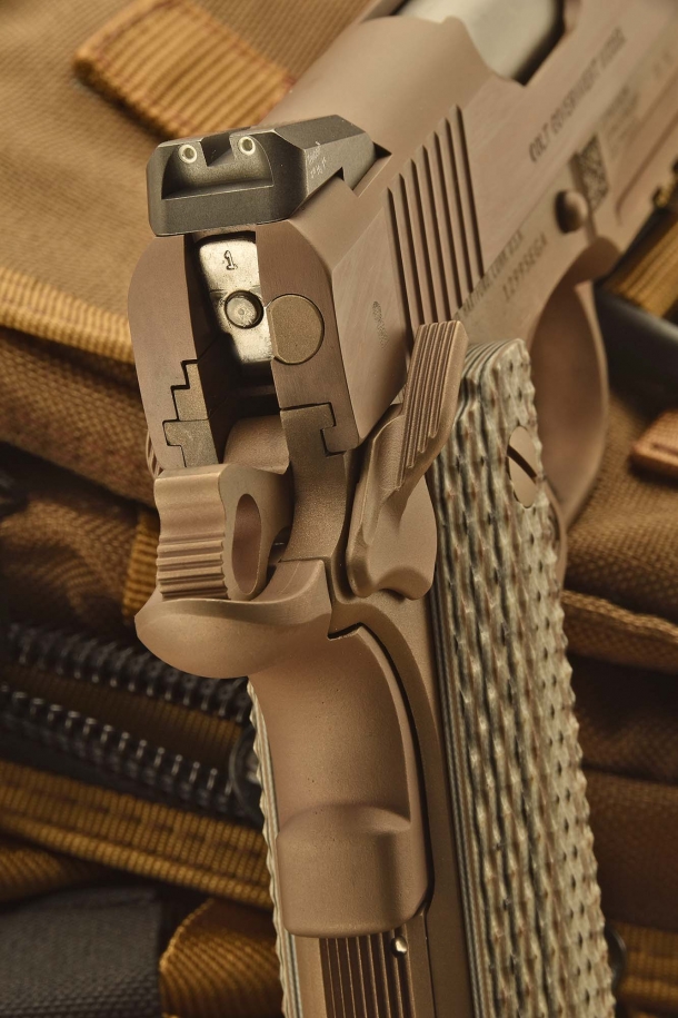 A close-up of the rear portion of the gun with its hammer cocked