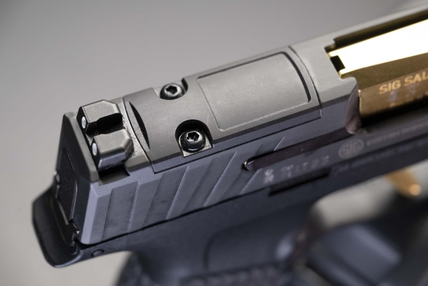 SIG Sauer P365 Custom Works: difesa personale, ma con classe SIG Sauer P365 Custom Works: difesa personale, ma con classe