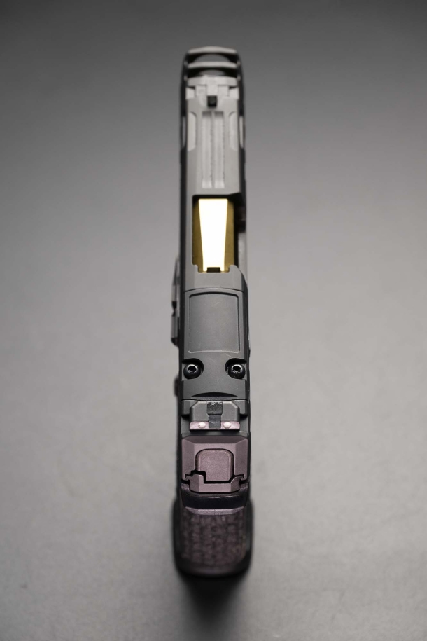 SIG Sauer P365 Custom Works: difesa personale, ma con classe SIG Sauer P365 Custom Works: difesa personale, ma con classe
