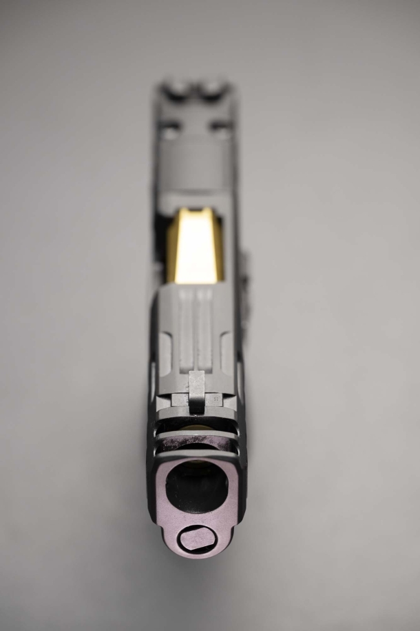 SIG Sauer P365 Custom Works: difesa personale, ma con classe SIG Sauer P365 Custom Works: difesa personale, ma con classe