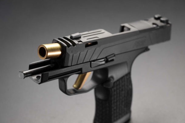 SIG Sauer P365 Custom Works: difesa personale, ma con classe SIG Sauer P365 Custom Works: difesa personale, ma con classe