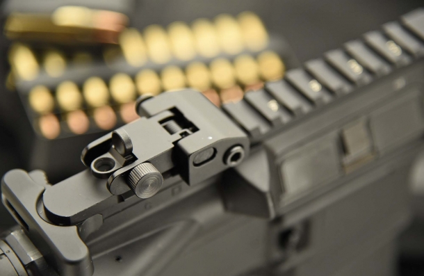 The flip-up adjustable rear sight