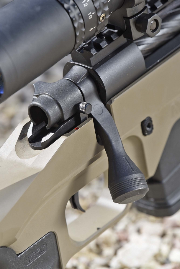The oversized bolt handle. At right, behind the bolt, the manual safety swithc: it disconnects the trigger action without blocking the bolt 
