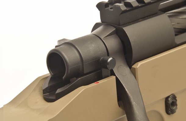 The striker tail is not visible: the action is not armed or a shot has been just discharged
