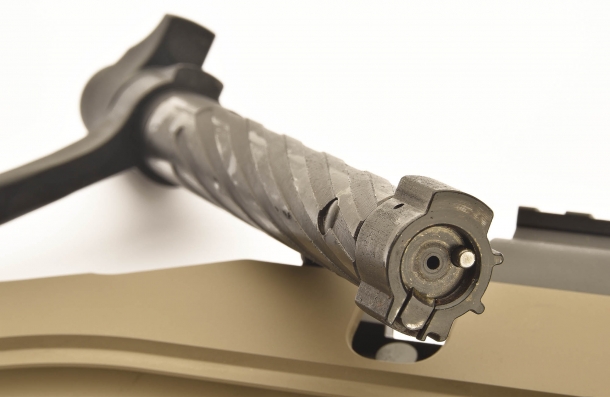 Forn view of the robust bolt