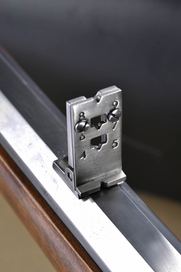 The rear sight, rised up