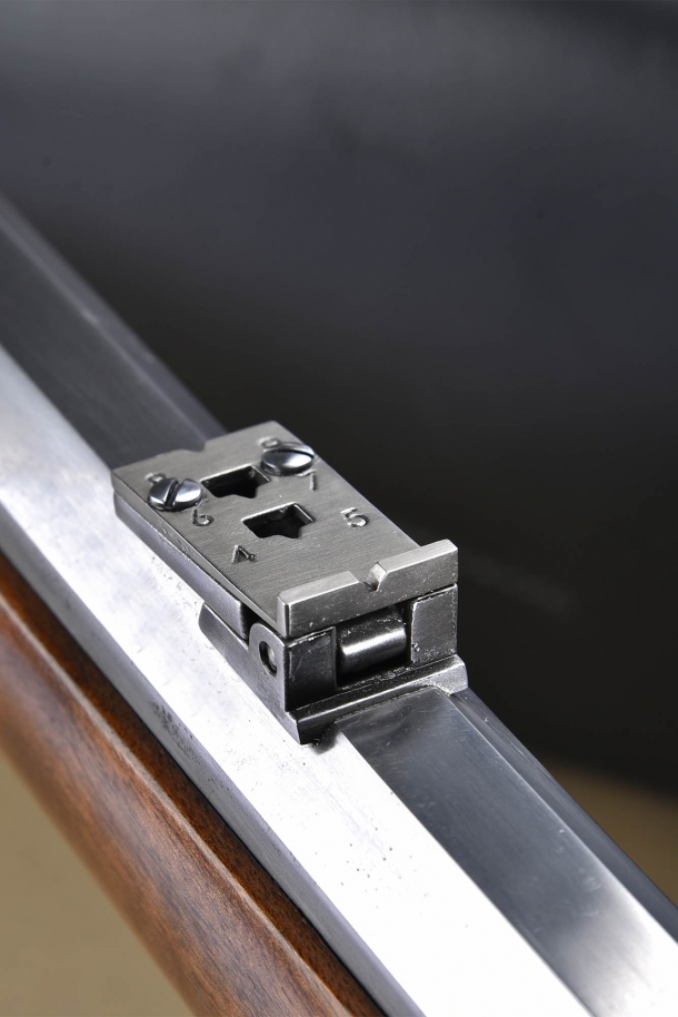 The rear sight, lowered