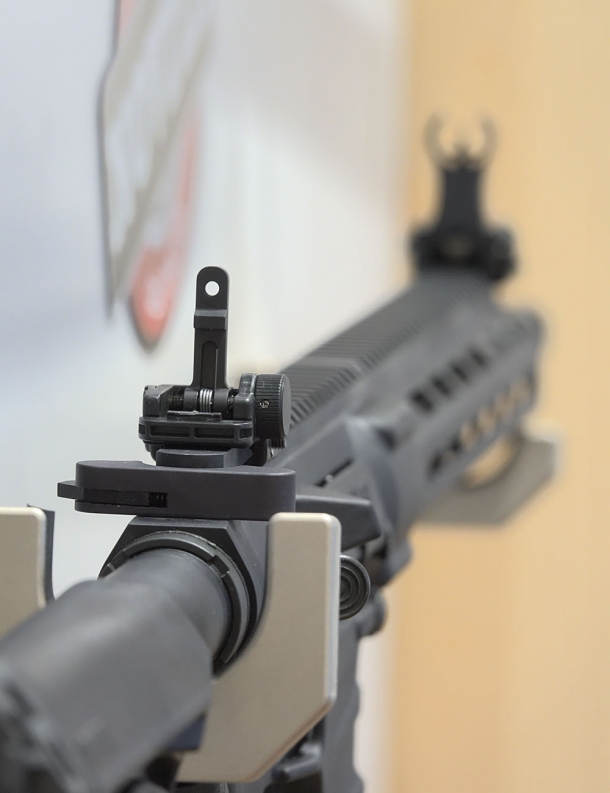 Si tratta di un'arma di fattura ottima, dal prezzo commensurato anche in Italia