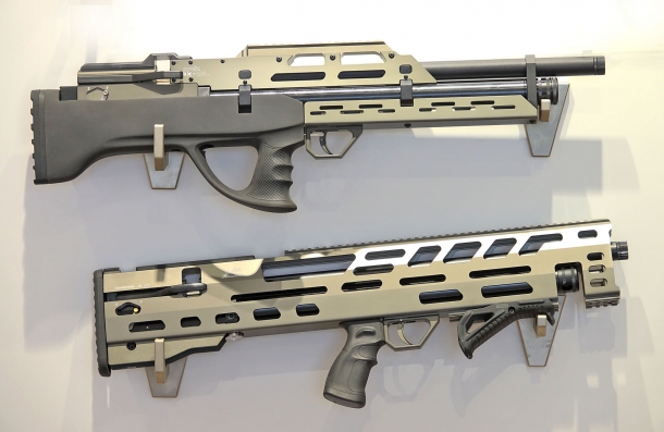 Le carabine Evanix Rainstorm e Max-ML, d'impostazione Bull-pup