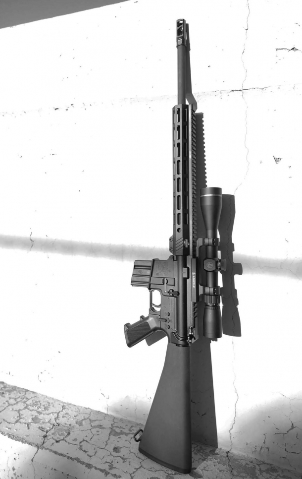 Bushmaster 450: torna l'AR-15 di grosso calibro Bushmaster 450: torna l'AR-15 di grosso calibro