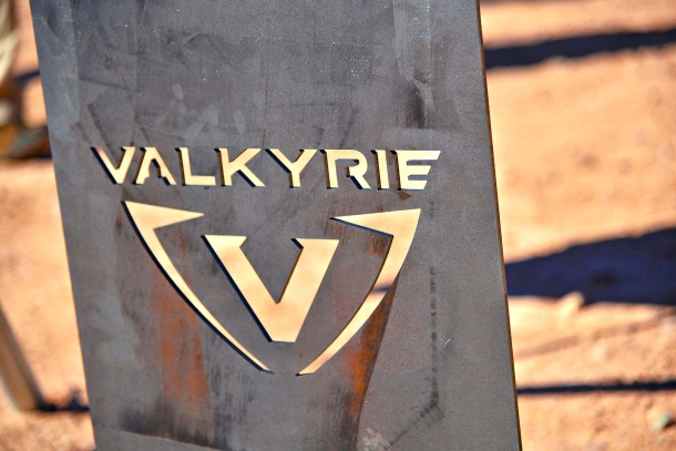 Savage Arms MSR-15 Valkyrie