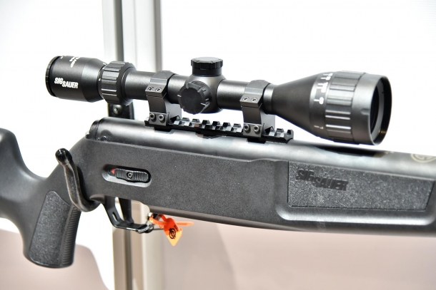 SIG Sauer ASP20