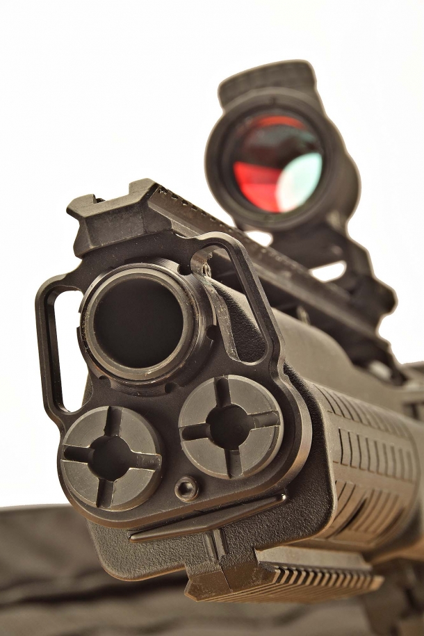 A close-up of the muzzle and the front plugs of the twin feeding tubes