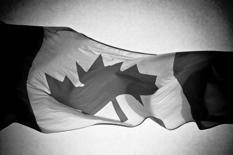 Canada's Trudeau bans Modern Sporting Rifles by Order in Council