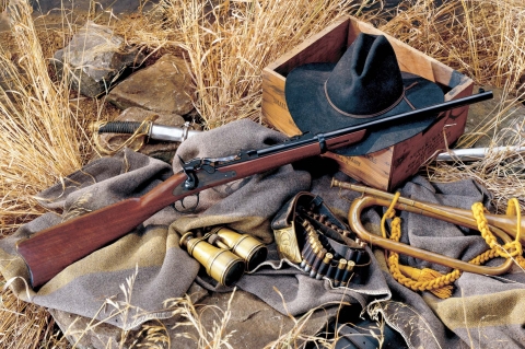 Springfield 1873 “Trapdoor”