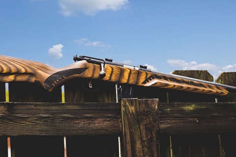 Savage Arms Minimalist line of bolt-action rifles: rimfire, redefined