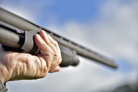 Mossberg 535 ATS, a waterfowl shotgun