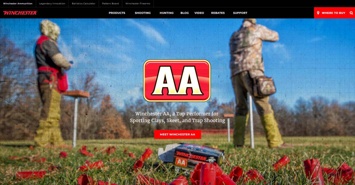 Click on IMAGE to visit the official website